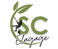 Élagage Schartier