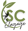Élagage Schartier | Élagueur à Tours