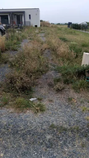 Débroussaillage sur l ensemble d un terrain a St Marc La Pile, Tours, Élagage Schartier