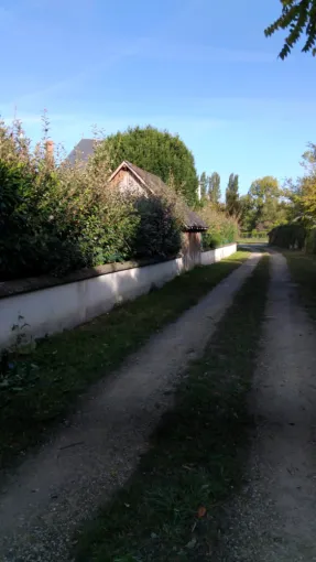 Taille d une haie a Tours, Tours, Élagage Schartier