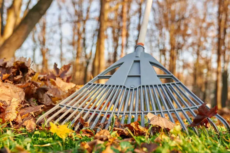 Ramassage des feuilles mortes sur une propriété privée de vacances, Tours, Élagage Schartier