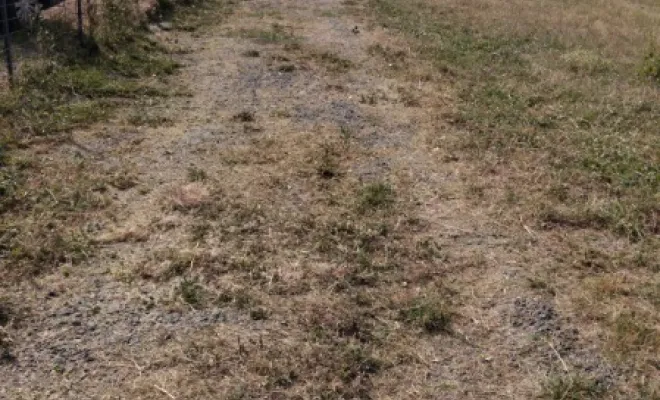Débroussaillage sur l ensemble d un terrain a St Marc La Pile, Tours, Élagage Schartier