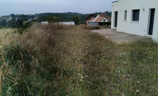 Débroussaillage sur l ensemble d un terrain a St Marc La Pile, Tours, Élagage Schartier