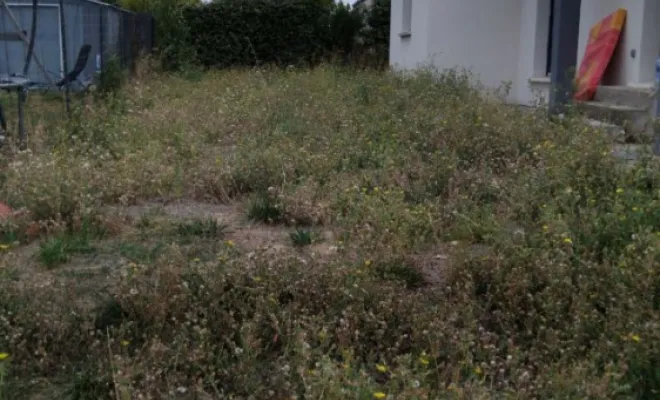 Débroussaillage sur l ensemble d un terrain a St Marc La Pile, Tours, Élagage Schartier