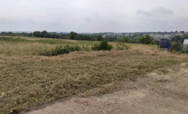 Débroussaillage sur l ensemble d un terrain a St Marc La Pile, Tours, Élagage Schartier