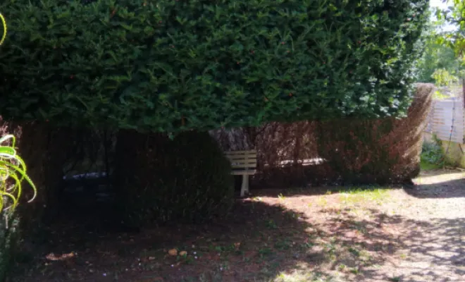 Paysagiste a Chambray les Tours , Tours, Élagage Schartier