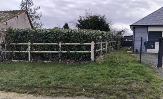 Taille d une haie de laurier à Montreuil , Tours, Élagage Schartier