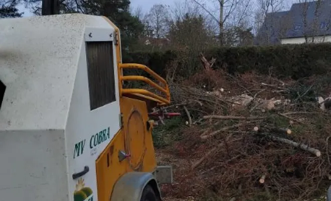 Abattage d un sapin à St Roch, Tours, Élagage Schartier