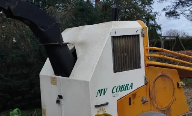 Abattage d un sapin à St Roch, Tours, Élagage Schartier